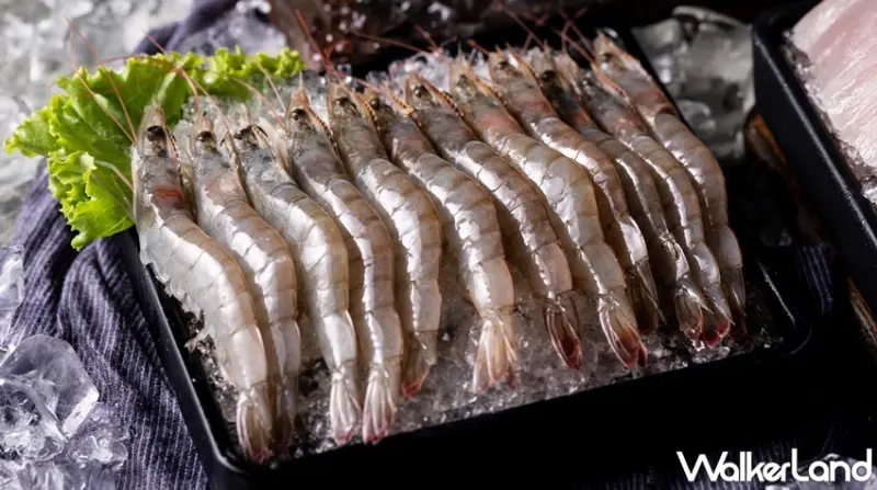 / WalkerLand窩客島整理提供 未經許可，不得轉載