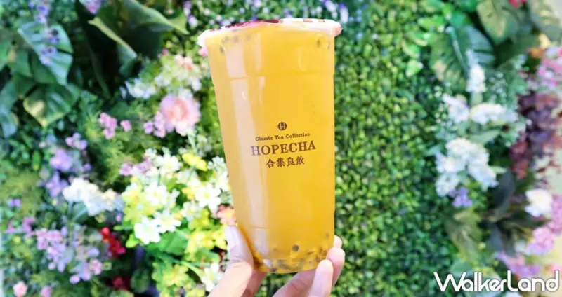 合集良飲 Hopecha / WalkerLand窩客島提供 未經許可，不得轉載