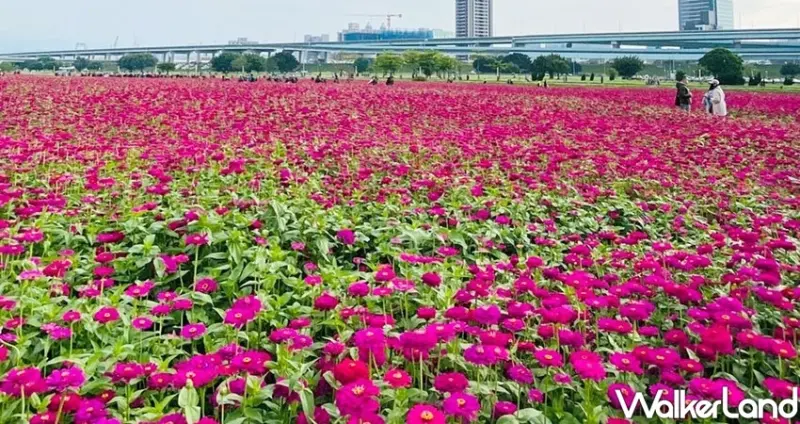 三重新北大都會公園 / WalkerLand窩客島整理提供 未經許可不可轉載