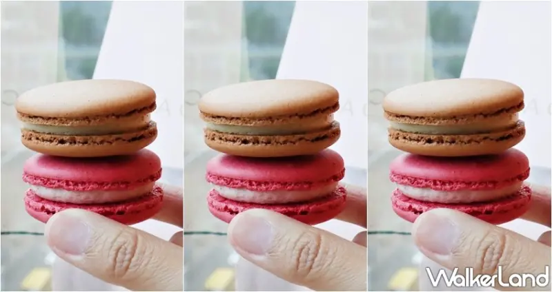 采采食茶 / WalkerLand窩客島提供 未經許可，不得轉載