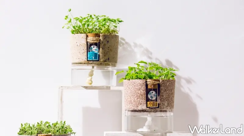 Green Pandora / WalkerLand窩客島提供 未經許可，不得轉載