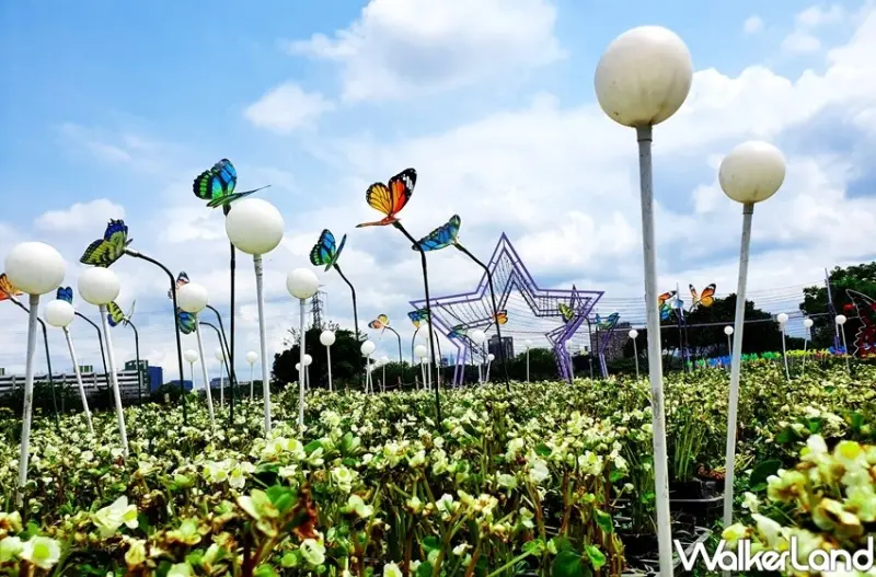 板橋蝴蝶公園「2020新北河濱蝶戀季」 / WalkerLand窩客島整理提供 未經許可不可轉載
