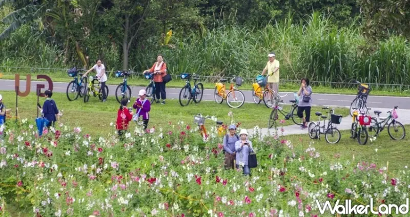 台北景點「古亭河濱公園 蜀葵花海」 / WalkerLand窩客島整理提供 未經許可不可轉載