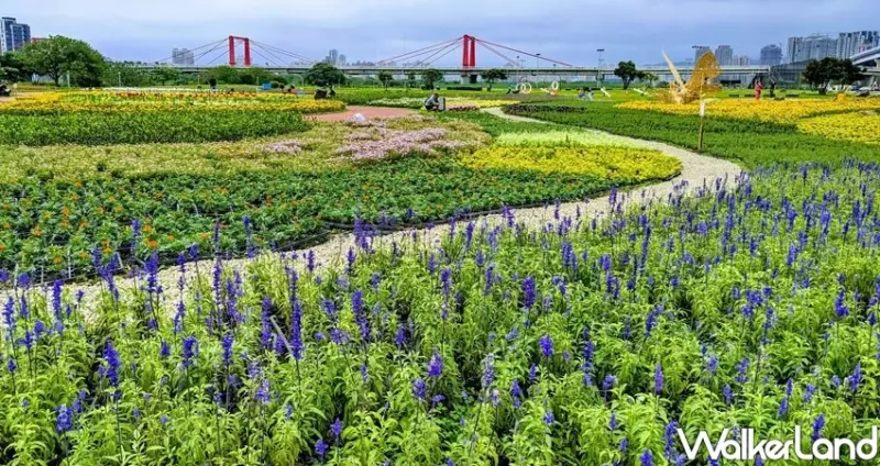 2024新北河濱蝶戀季 / WalkerLand窩客島整理提供 未經許可不可轉載。