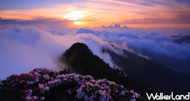 合歡山國家森林遊樂區