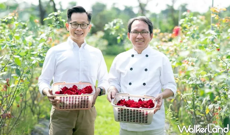 南國玫瑰女王乳酪蛋糕