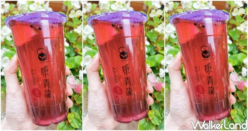 康青龍 桑葚荔枝冰茶 / WalkerLand窩客島整理提供 未經許可不可轉載