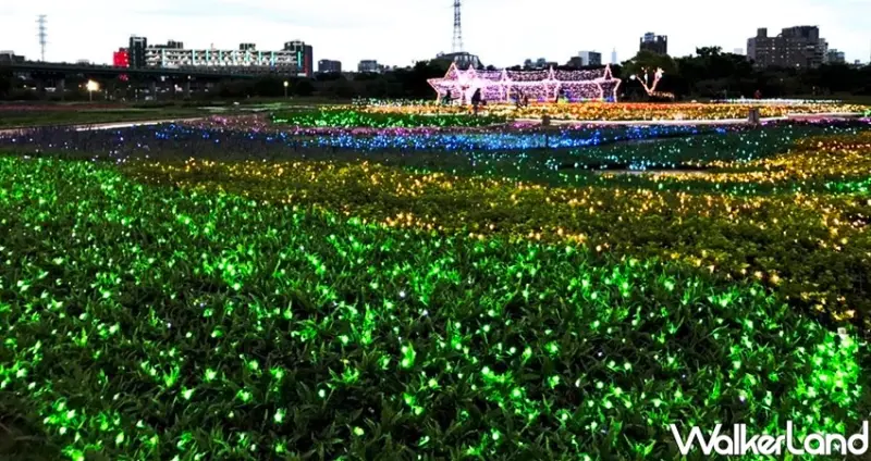 板橋蝴蝶公園「2020新北河濱蝶戀季」 / WalkerLand窩客島整理提供 未經許可不可轉載