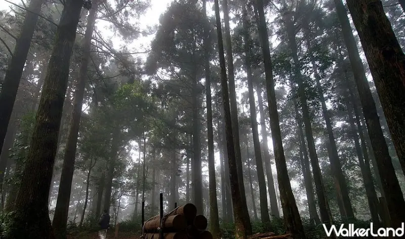 國家森林遊樂區