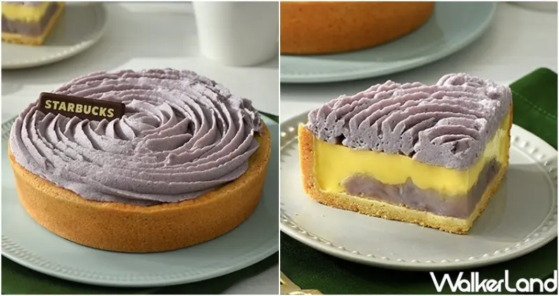 星巴克芋頭布丁 / WalkerLand窩客島整理提供 未經許可不可轉載