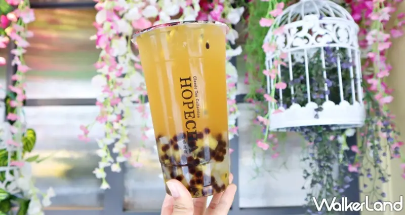 合集良飲 Hopecha / WalkerLand窩客島提供 未經許可，不得轉載