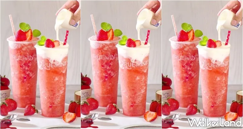 初韻-好韻茶TrueWin / WalkerLand窩客島整理提供 未經許可，不得轉載