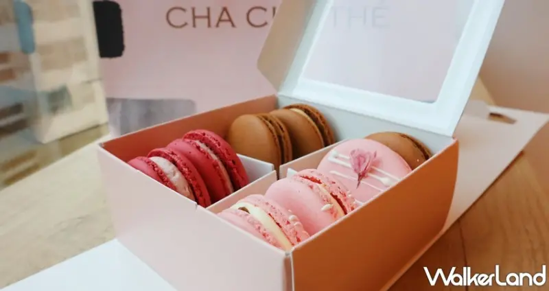 采采食茶 / WalkerLand窩客島提供 未經許可，不得轉載