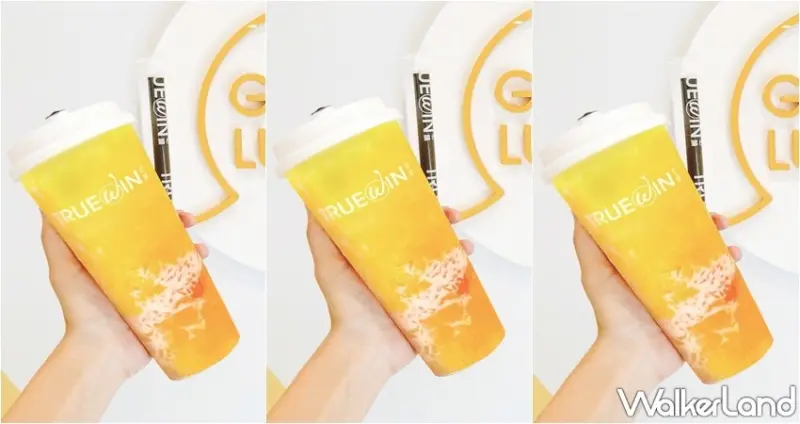 初韻-好韻茶TrueWin / WalkerLand窩客島整理提供 未經許可，不得轉載