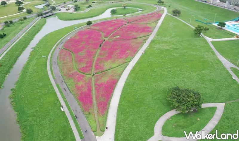 三重新北大都會公園 / WalkerLand窩客島整理提供 未經許可不可轉載
