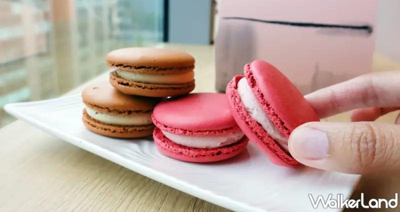 采采食茶 / WalkerLand窩客島提供 未經許可，不得轉載