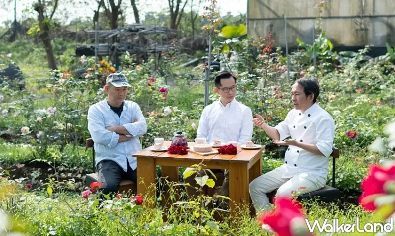 南國玫瑰女王乳酪蛋糕