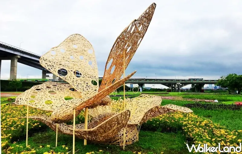 板橋蝴蝶公園「2020新北河濱蝶戀季」 / WalkerLand窩客島整理提供 未經許可不可轉載