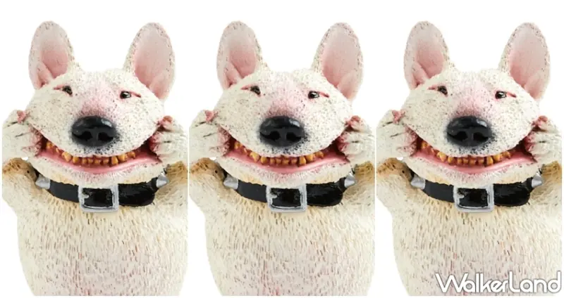 圓滾滾動物系列 / WalkerLand窩客島提供 未經許可，不得轉載