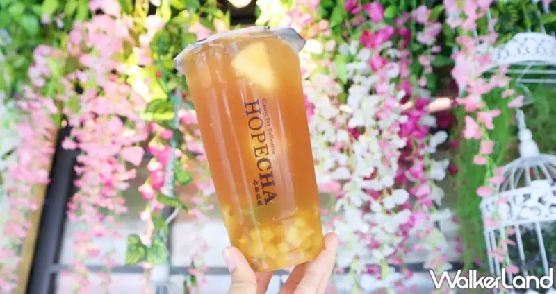 合集良飲 Hopecha / WalkerLand窩客島提供 未經許可，不得轉載