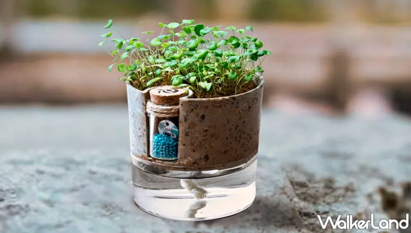 Green Pandora / WalkerLand窩客島提供 未經許可，不得轉載