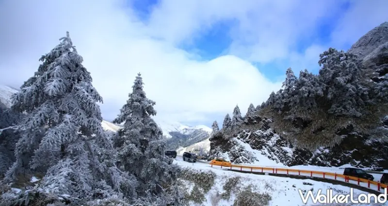 合歡山國家森林遊樂區