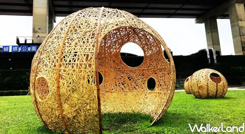 板橋蝴蝶公園「2020新北河濱蝶戀季」 / WalkerLand窩客島整理提供 未經許可不可轉載