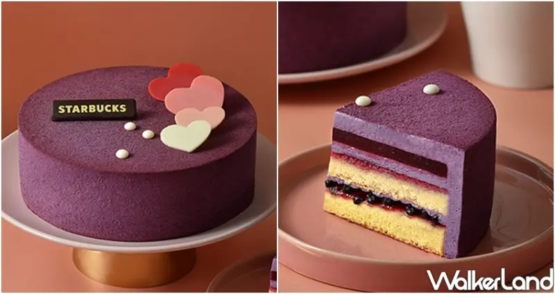 星巴克芋頭布丁 / WalkerLand窩客島整理提供 未經許可不可轉載