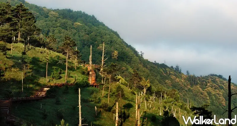 國家森林遊樂區