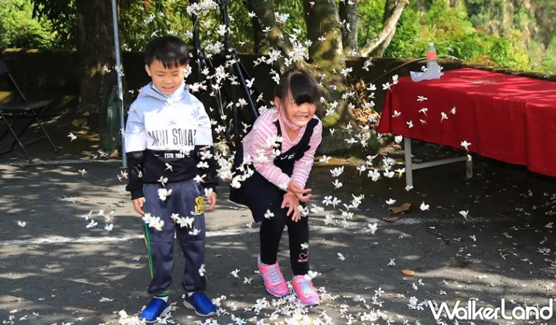 梅嶺賞螢季 / WalkerLand窩客島提供 未經許可，不得轉載