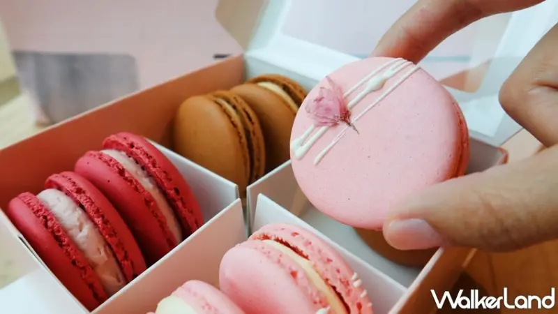 采采食茶 / WalkerLand窩客島提供 未經許可，不得轉載