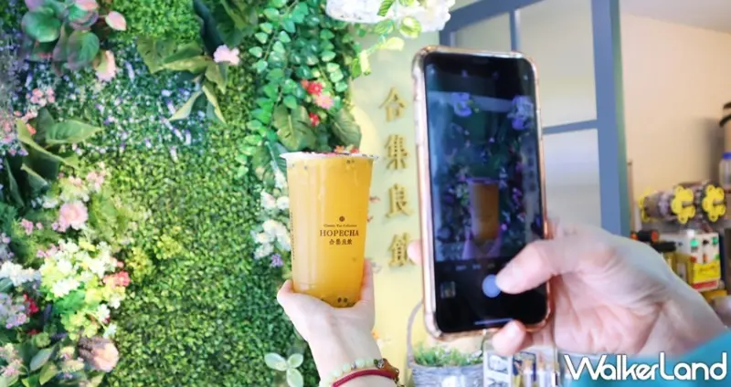 合集良飲 Hopecha / WalkerLand窩客島提供 未經許可，不得轉載