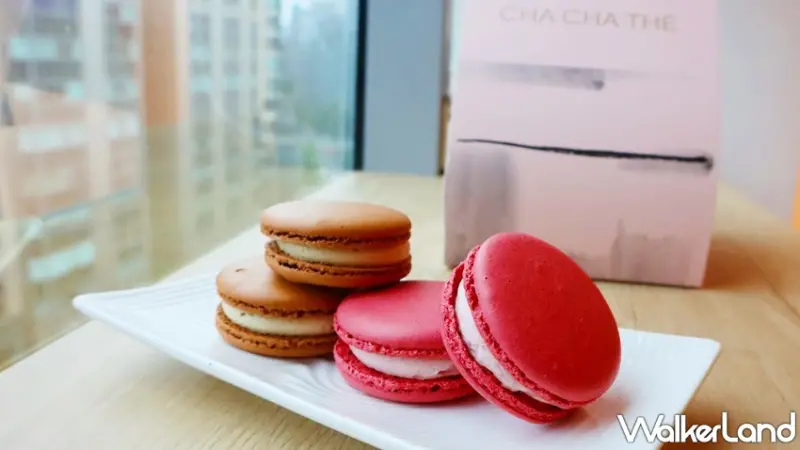 采采食茶 / WalkerLand窩客島提供 未經許可，不得轉載