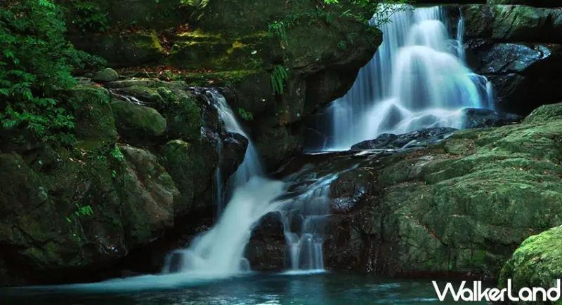 滿月圓國家森林遊樂區