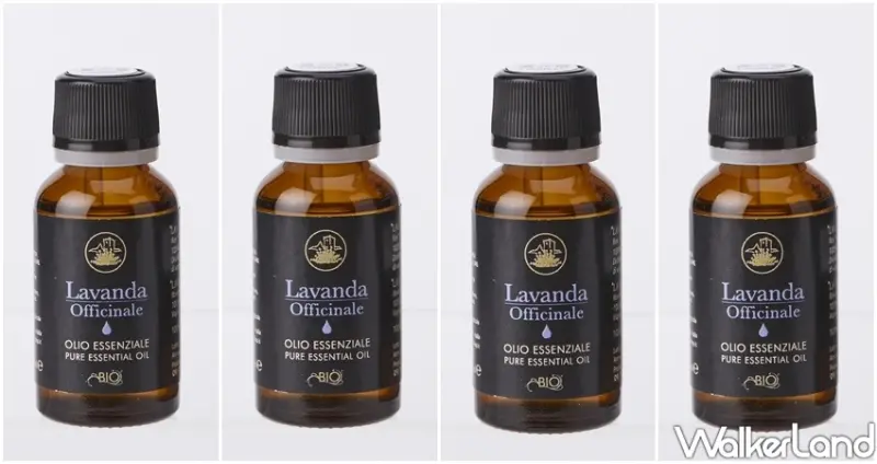 京站百貨振興優惠券 / WalkerLand窩客島整理提供 未經許可不可轉載