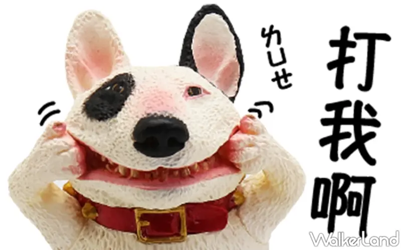 圓滾滾動物系列 / WalkerLand窩客島提供 未經許可，不得轉載