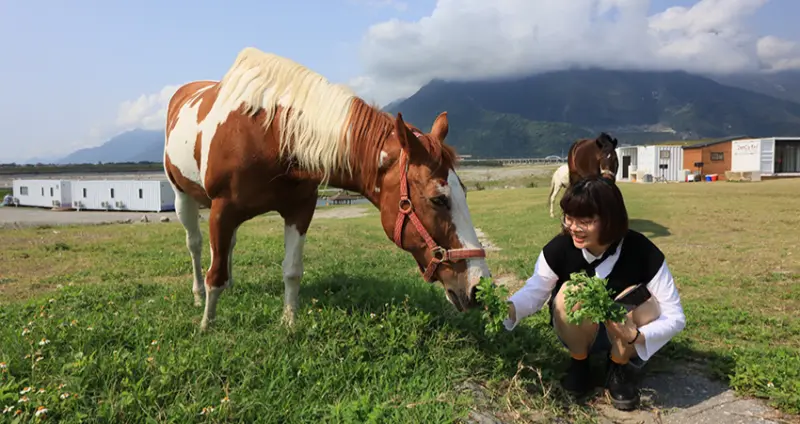位在太平洋畔的新開幕的「崇德瑩農場」，擁有靠山近海美景，還能享受越野車、露營車等全方位活動體驗。