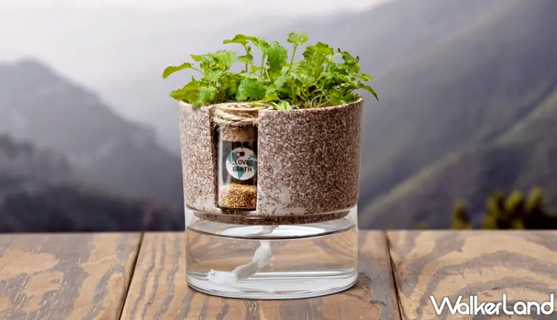 Green Pandora / WalkerLand窩客島提供 未經許可，不得轉載