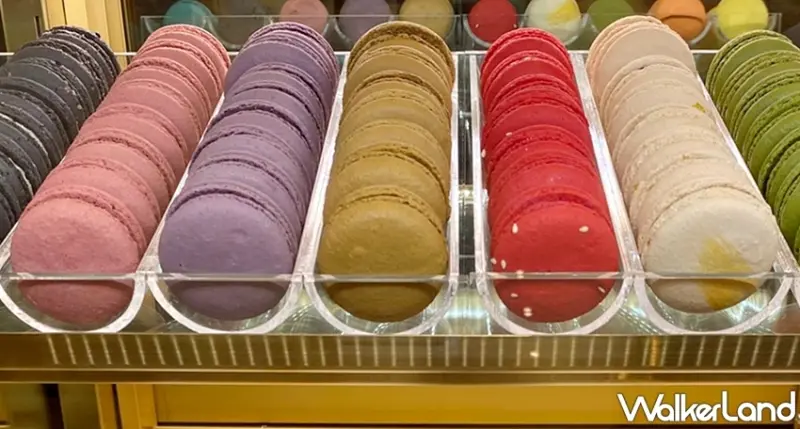 Big City新竹巨城/ WalkerLand窩客島提供 未經許可，不得轉載