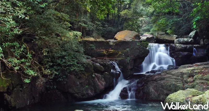 滿月圓國家森林遊樂區