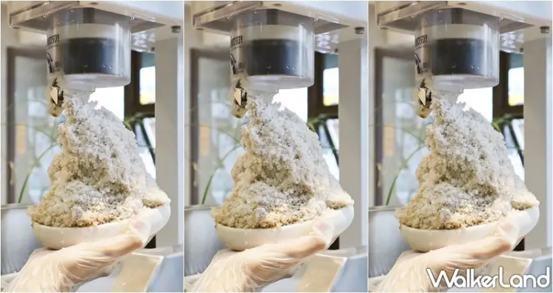 八時神仙草 / WalkerLand窩客島提供 未經許可，不得轉載