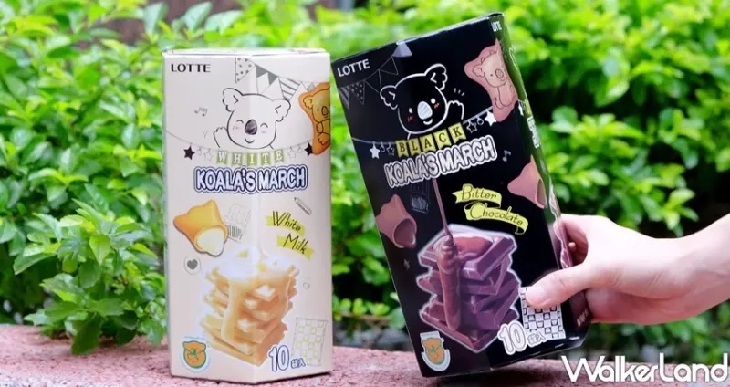 「濃黑巧克力小熊餅乾」 / WalkerLand窩客島整理提供 未經許可不可轉載