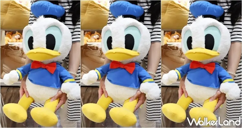 HOLA迪士尼唐老鴨系列 / WalkerLand窩客島提供 未經許可，不得轉載