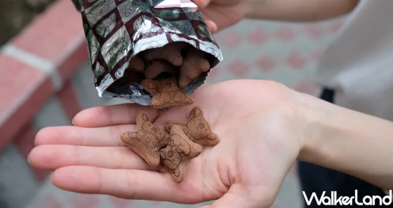 「濃黑巧克力小熊餅乾」 / WalkerLand窩客島整理提供 未經許可不可轉載