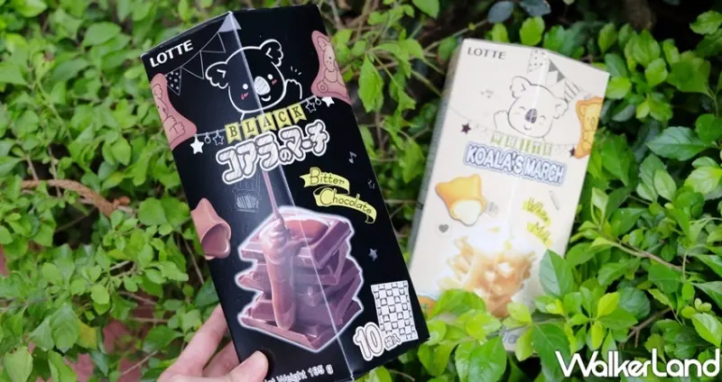 「濃黑巧克力小熊餅乾」 / WalkerLand窩客島整理提供 未經許可不可轉載