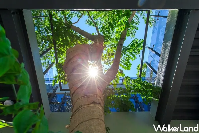 星巴克 台南佳里門市 / WalkerLand窩客島整理提供 未經許可不可轉載