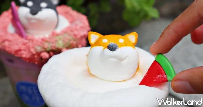 雨田先生 / WalkerLand窩客島提供 未經許可，不得轉載