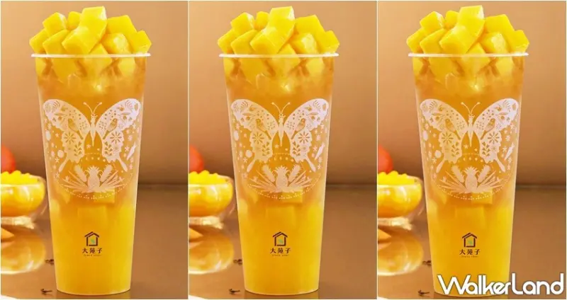 大苑子 愛文翡翠Double(L) / WalkerLand窩客島整理提供 未經許可，不得轉載