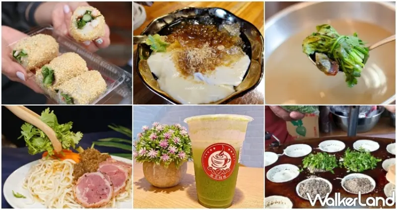 吃過才算是香菜控！反香菜聯盟看到都會怕的「7款香菜美食」一次公開，超獵奇香菜珍珠拌麵、香菜皮蛋鍋讓香菜控吃一次就上癮。