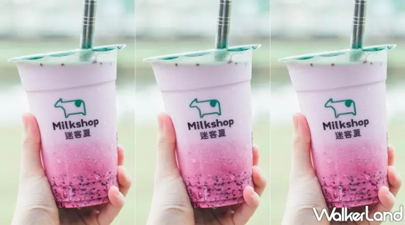 迷客夏 / WalkerLand窩客島提供 未經許可，不得轉載